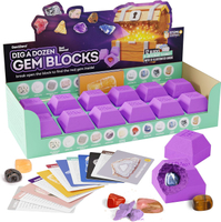 Dig A Dozen Gem Blocks ng Kit For Kids - Discover 12 Unique Real Gemstones Mineral Rocks Crystals Co