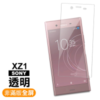 SONY Xperia XZ1 非滿版透明9H玻璃鋼化膜手機保護貼 XZ1保護貼