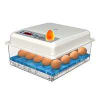Small household intelligent water bed incubator Egg incubator Machine semi-automatic incubator for hatching chicks
