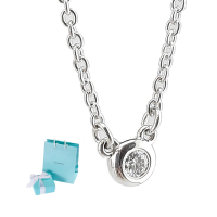 【Tiffany&amp;Co. 蒂芙尼】明亮切割圓形鑽石墜飾925純銀項鍊(預購款)