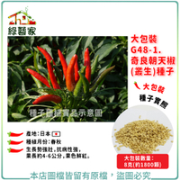 【綠藝家】大包裝G48-1.奇良朝天椒(叢生)種子8克(約1800顆)