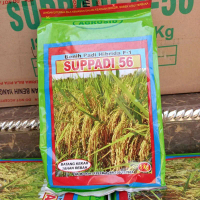 (1KG)BENIH PADI HIBRIDA F1 SUPPADI 56 ORIGINAL KEMASAN PABRIK