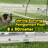 Jaring Burung Emprit Pengaman Padi di sawah