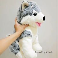 Husky Bulu Jumbo Size 45 Cm/ Boneka Jumbo/ Boneka Guguk/ Husky