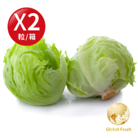 【盛花園蔬果】雲林結球萵苣美生菜300g±10%/粒(2粒/箱)