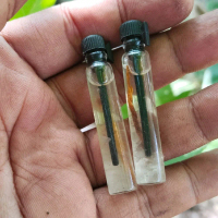botol farfum minyak oles kelapa tunggal/mg/buper