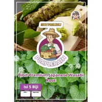 Bibit Premium Japanese Wasabi Root |Biji Benih Tanaman Wasabi Jepang