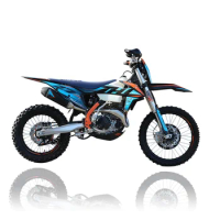 Oem China factory 300cc dirt bike 6-speed 4 stroke gasoline fuel engine 250cc motocross adults off road motorcycle