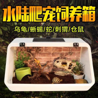 【大空間飼養】斜面箱前開門飼養箱爬寵角蛙樹蛙烏龜缸曬臺爬梯寄居蟹蛇蟲爬箱