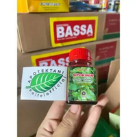 SITOKININ 80% ORIGINAL