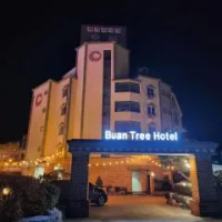 住宿 Buan Tree California Hotel 扶安郡