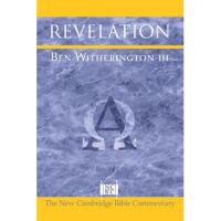 Revelation (New Cambridge Bible Commentary)