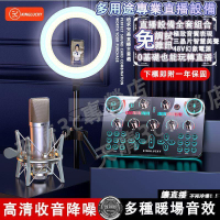 附發票  V20直播聲卡設備全套 電腦手機通用聲卡 唱歌聲卡話筒喇叭  直播K歌麥克風 智慧降噪無電流 快速出貨