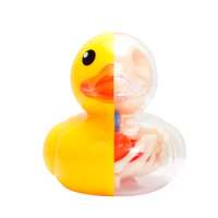 4D Master Transparent Yellow Duck Anatomy Model 6 Parts Removable DIY Puzzle Bone Anatomical Education Kids Tool