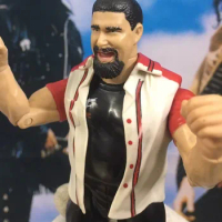WWE 6-7" Doll Figure wrestler Racers Mick Foley AEW boxers superstars actors celebrities, models toys dolls Warrior soldier