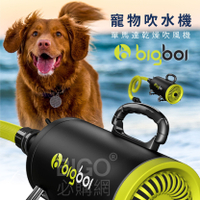 【澳洲進口】bigboi MINI 寵物單馬達吹風機 低噪音 寵物吹水機 吹風機 汽機車可用 寵物 兩段溫控 現貨