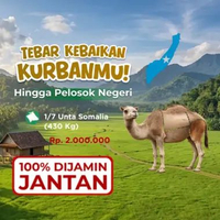 Kurban Qurban Kambing Unta Somalia - Dompet Dhuafa 1/7 Unta