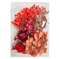 【A-ONE 匯旺】乾燥花材料包 壓花 DIY花材 花藝材料永生花 不凋花 浮游花 香薰蠟燭 浮油花 花材(A13)