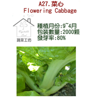 【蔬菜工坊】A27.菜心種子(大心芥菜)