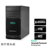【HPE】E-2324G 四核直立伺服器(ML30 Gen10 Plus/E-2324G/8G/1TB HDD/350W/Non-OS)