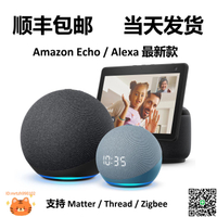 Amazon/亞馬遜 echo dot echo pop spot show Alexa 智能音箱-淘淘屋