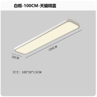 吸頂燈(白框100CM_無極+天貓精靈)