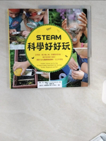 【書寶二手書T1／科學_UBU】STEAM科學好好玩：史萊姆、襪子離心機、野餐墊相對論…_莉茲‧李‧海涅克, 張如芳／審定, 王翎, 甘錫安