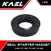 Seal Starter Magnet GT 100 TS 100 TS 125 A 100 A100 Sil Kick Stater