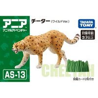 《TAKARA TOMY》多美動物ANIA AS-13 獵豹(野生板) 東喬精品百貨