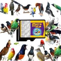 Memori Card Masteran Mastering Burung Kicau Suara Isian 128 Burung Terbaik