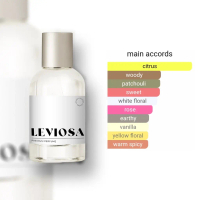 Coco Mademoise by Leviosa Perfume - Parfum Tahan Lama | Parfum Non Alkohol | Best Quality