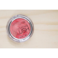 PHẤN MÁ HỒNG CATRICE ILLUMINATING BLUSH CHÍNH HÃNG