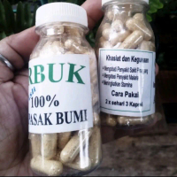 Tanaman pasak bumi kalimantan