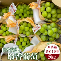 【WANG 蔬果】日本長野縣溫室麝香葡萄(原裝8-10串/約5kg)