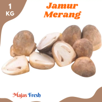 JAMUR MERANG Segar - Jamur Padi Bulat Fresh | 1.000gr [ Harga Per KG ]