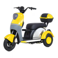 Electric tricycle for adults 3 seater electric scooter 3wheel electric tricycle motorcycle 2023custom