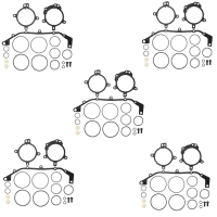 Kit Pembaikan Pengedap Cincin Vanos Dwi, Untuk BMW, Serasi dengan E36, E39, E46, E53, E60, E83, E85,