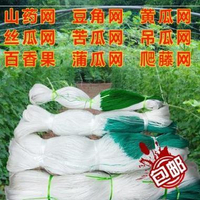 吊繩苦瓜網豆角網西瓜瓜棚爬藤網網子。網架夏天戶外搭架園藝蔬菜