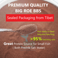 Artemia cysts BBS Brine Shrimp Eggs 50gm,100gm Big Small Roe HappyFishLife