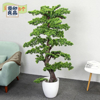 免運 工廠現貨 仿真樹 仿真綠植 仿真植物 裝飾假樹 仿真迎客松盆景擺件假樹羅漢松樹塑料花盆栽植物室內裝飾花藝擺件免運 工廠現貨 仿真樹 仿真綠植 仿真植物 裝飾假樹免運/可開發票 工廠直銷 特價出 