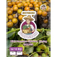 Bibit Premium Ciplukan Golden | Biji Ciplukan Kuning Ground Cherry | Biji Benih Ciplukan Kuning Grou