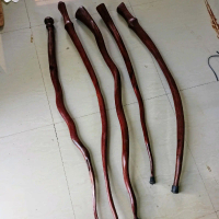 Tongkat akar tunjang nagasari