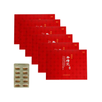 牛樟芝膠囊 6盒組-共360粒(牛樟芝權威 利得牛樟芝 利得生技監製 牛樟芝推薦)
