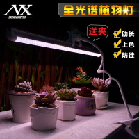 植物照燈 全光譜多肉補光燈仿太陽光綠植光照燈室內家用上色led植物生長燈【AD4619】