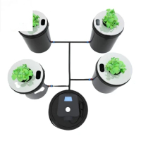 Plastic hydroponic growing systems for lettuce 20L 4 buckets