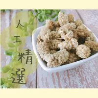 【五桔國際】土耳其白桑椹乾35克(3包)