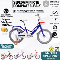 Sepeda Anak Perempuan DOMINATE BIKE BUBBLY 12 16 18 Inch Keranjang Usia 2-8 Tahun Dark SKY