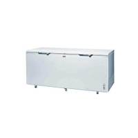 【SANLUX 台灣三洋】616L 上掀式 直冷型冷凍櫃 白色 SCF-616G(含基本安裝)