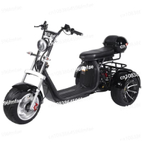 Double Seat Adult Electric Scooter 2000w 3 Wheel Fat Tire Electric Bike Kit Electric Tricycle