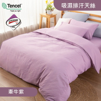吸濕排汗3M科技天絲 / 兩用被床包枕套四件組 / 牽牛紫